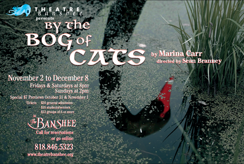 "By the Bog of Cats" at Theatre Banshee